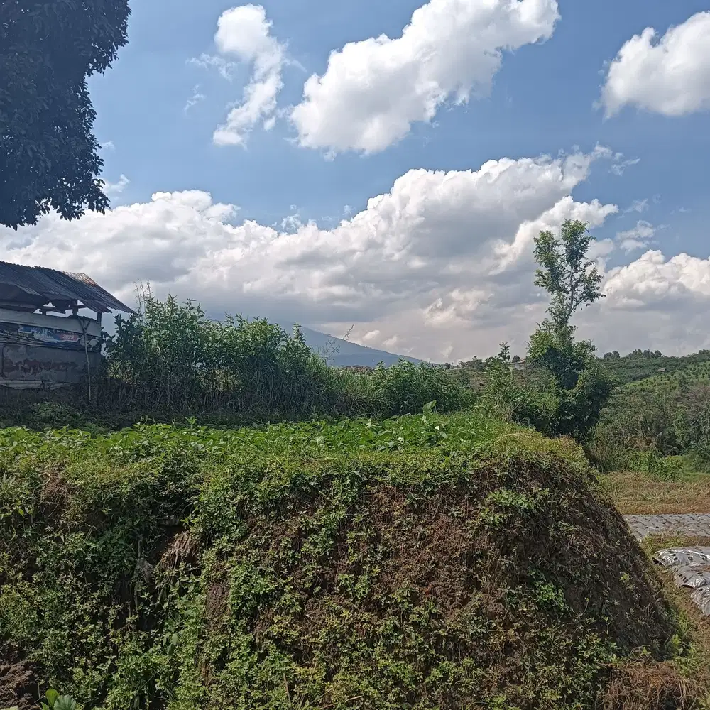 Dijual Tanah Kebun Aktif Belakang Taman Dolan Bumiaji Batu Malang