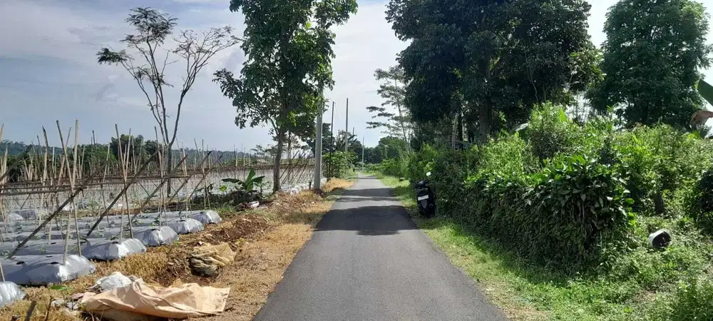 Dijual lahan pinggir jalan 3.249meter udara sejuk