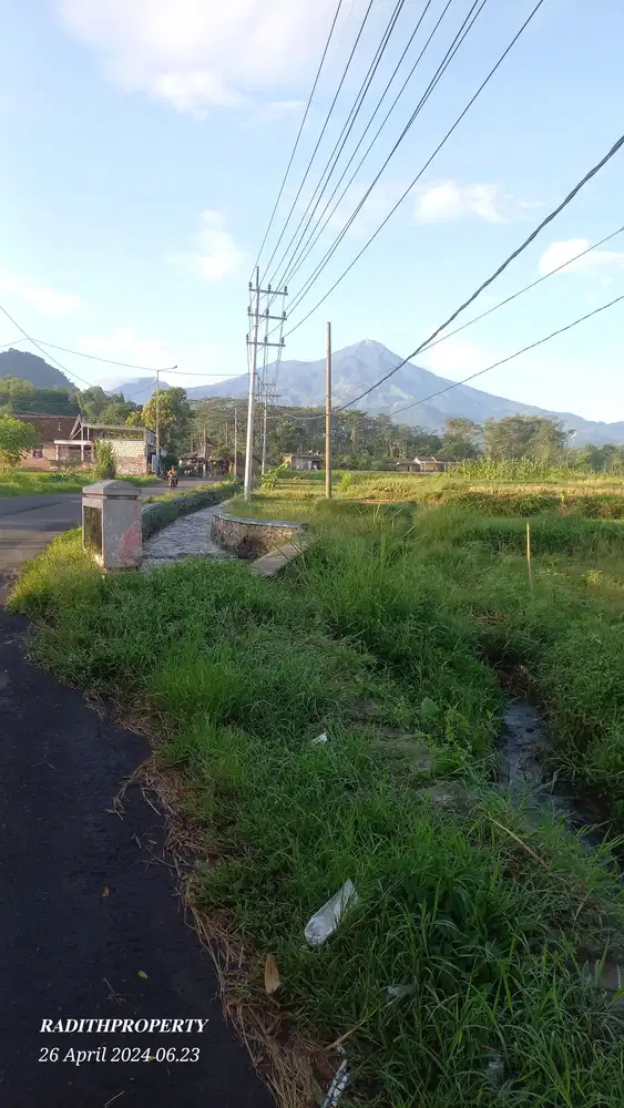 LAHAN AREA WISATA TRAWAS VIEW 2 GUNUNG