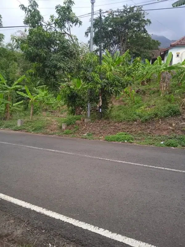 Tanah trawas nol jalan raya poros arah murah