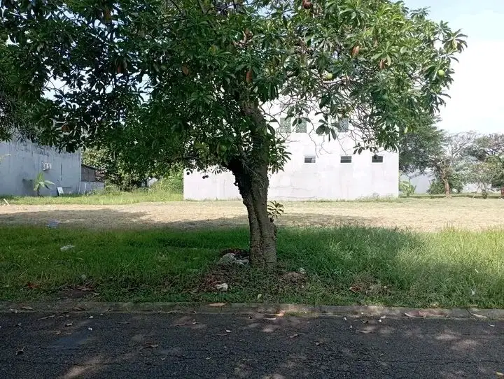 Jual cepat kavling murah di dukuh bima