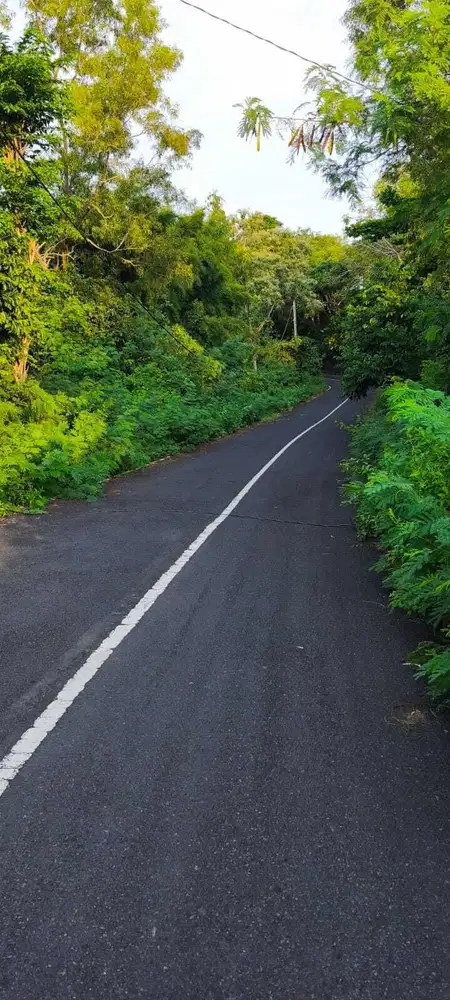 JUAL TANAH VIEW PANTAI DAN DEKAT PANTAI
