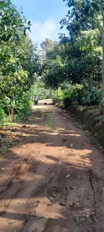 Dijual lahan 1000 meter harga Nego udara sejuk