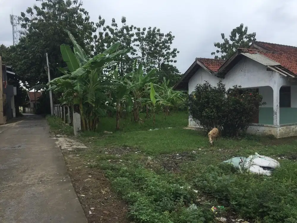 Jual Tanah Ciampea Bogor SHM Cocok Untuk Rukos dan Investasi