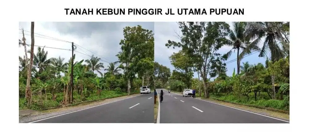 Tanah Murah Strategis Di Jl. Antosari Pupuan, Selemadeg, Tabanan BALI