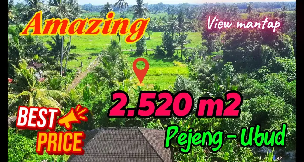 2,520 m2 Dry Land Ready to Build for Sale in Ubud Pejeng