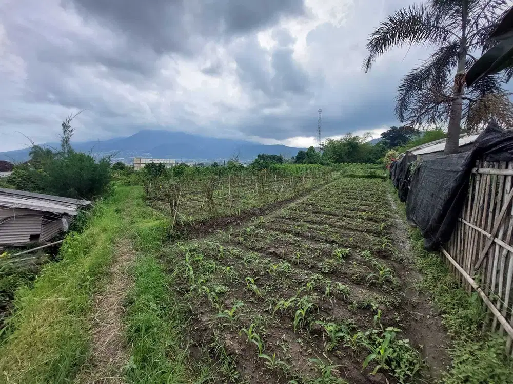 Tanah Dijual Di Bulukerto Batu