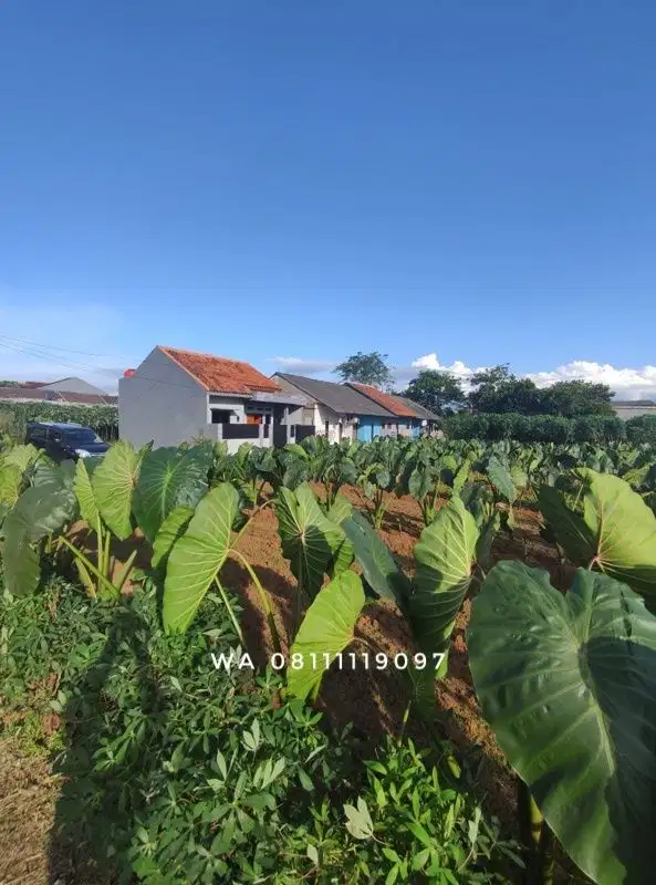 Jual : Tanah 606m² di Tanah Sareal Kota Bogor