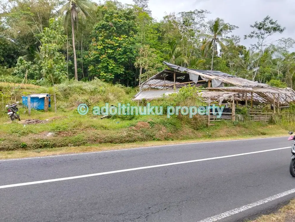Tanah tepi jalan provinsi tidak jauh dari candi borobudur magelang