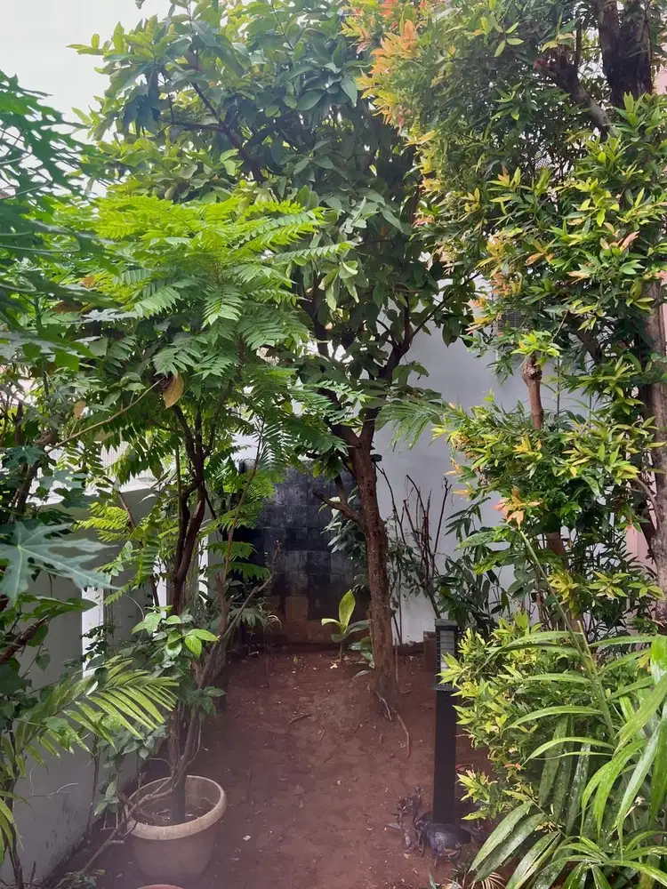 Dijual Rumah di Tanjung Duren