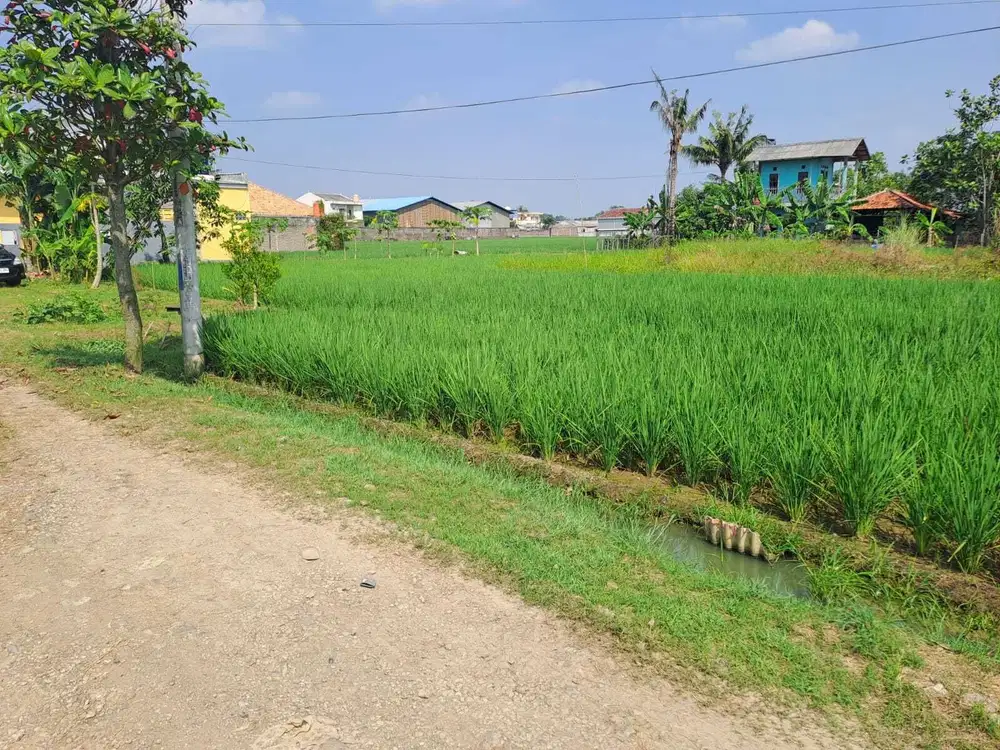 Dijual Tanah dekat kawasan industri KIIC karawang