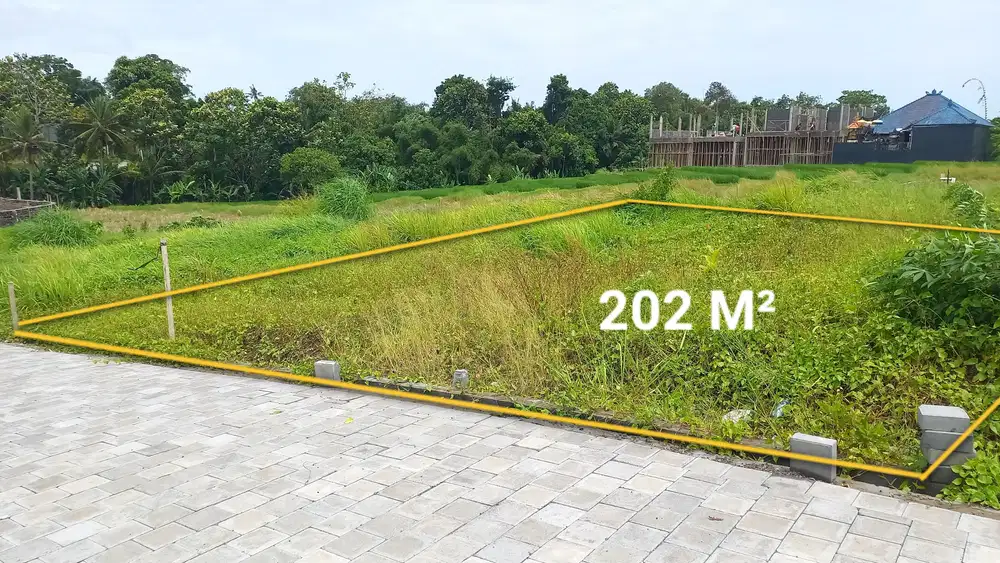 Kedungu View sawah Lingkungan Elite