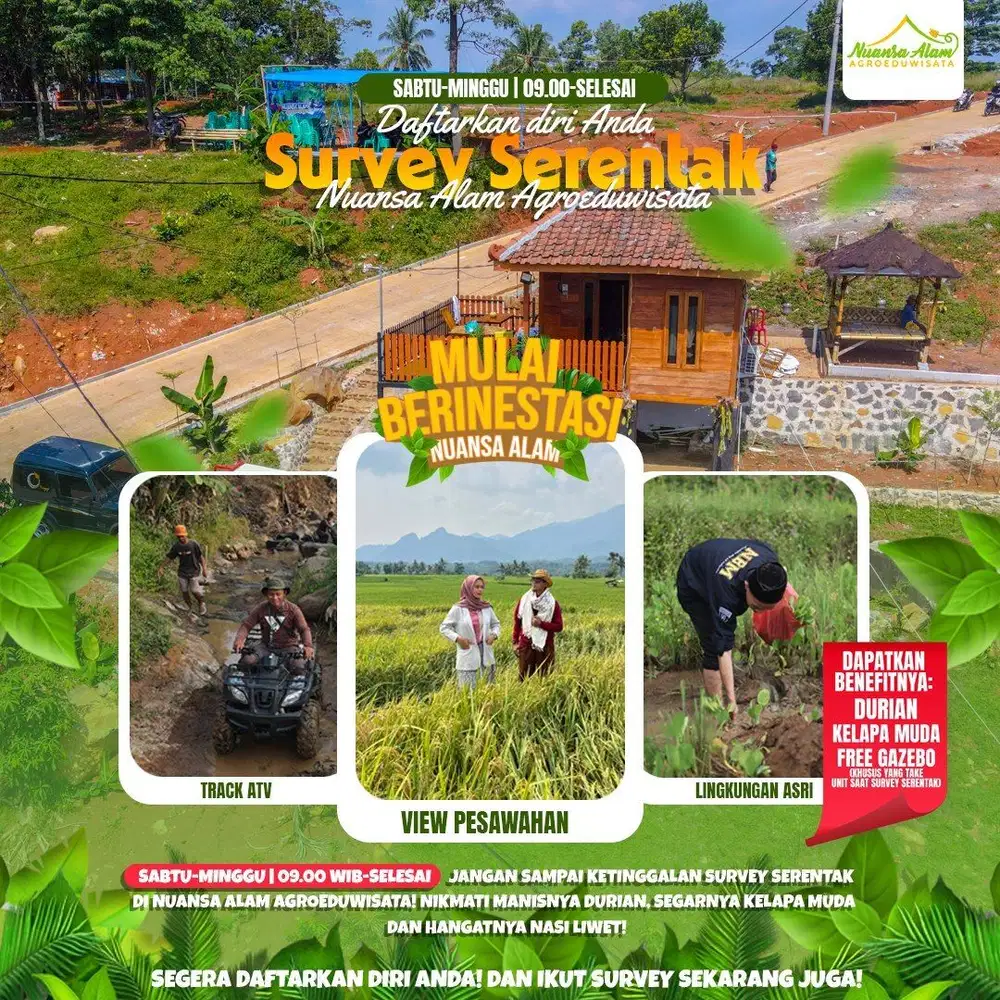 Tanah sawah dijual murah legalitas SHM pemandangan pegunungan estetik