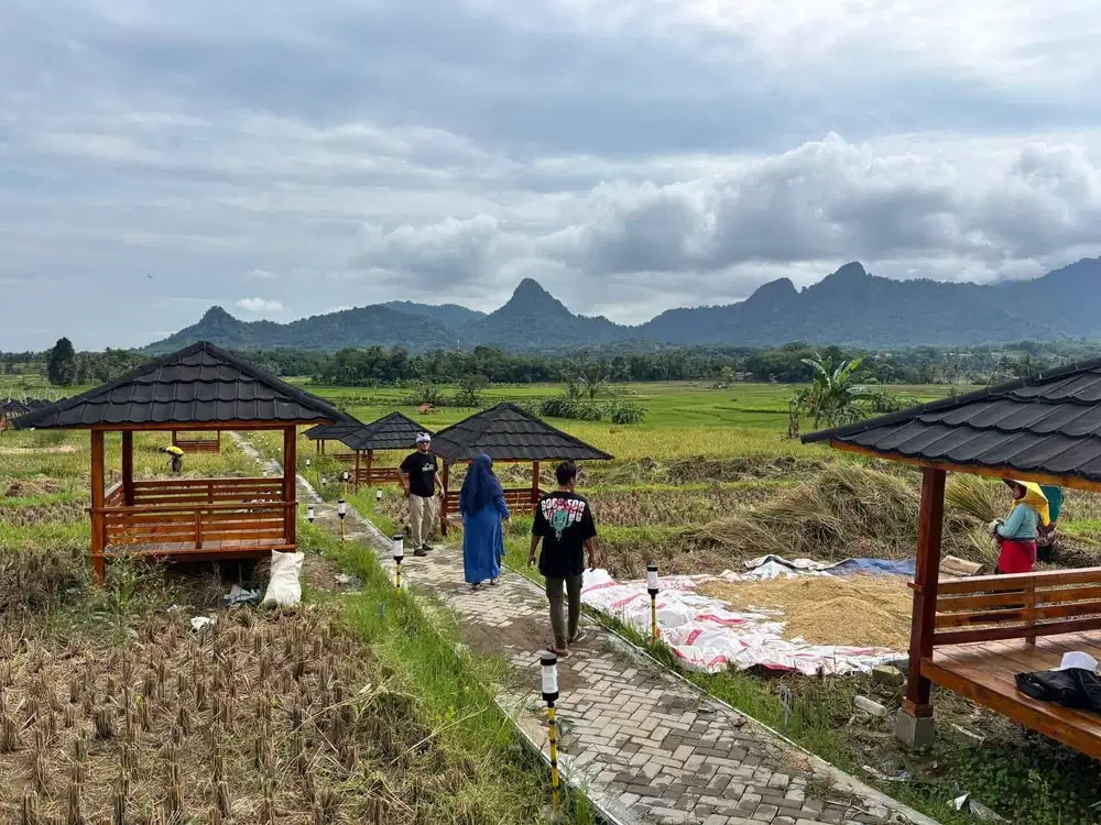 Jual Tanah Sawah murah di Bogor Timur