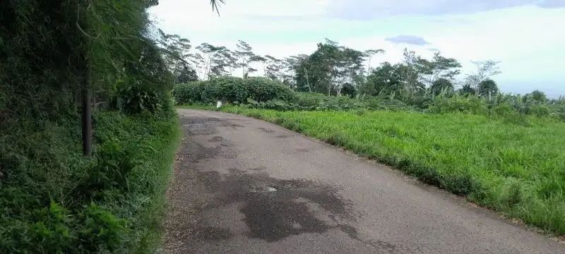 dijual lahan 3600 meter cocok untuk usaha