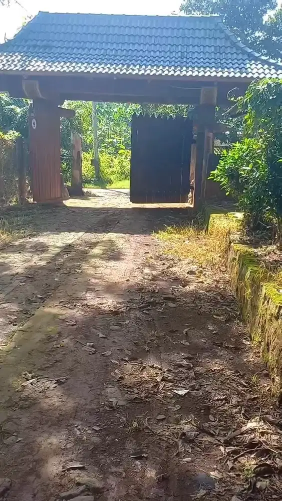DI JUAL EX RUMAH MAKAN DAN KOLAM PANCING TERKENAL PERKEBUNAN DURIAN