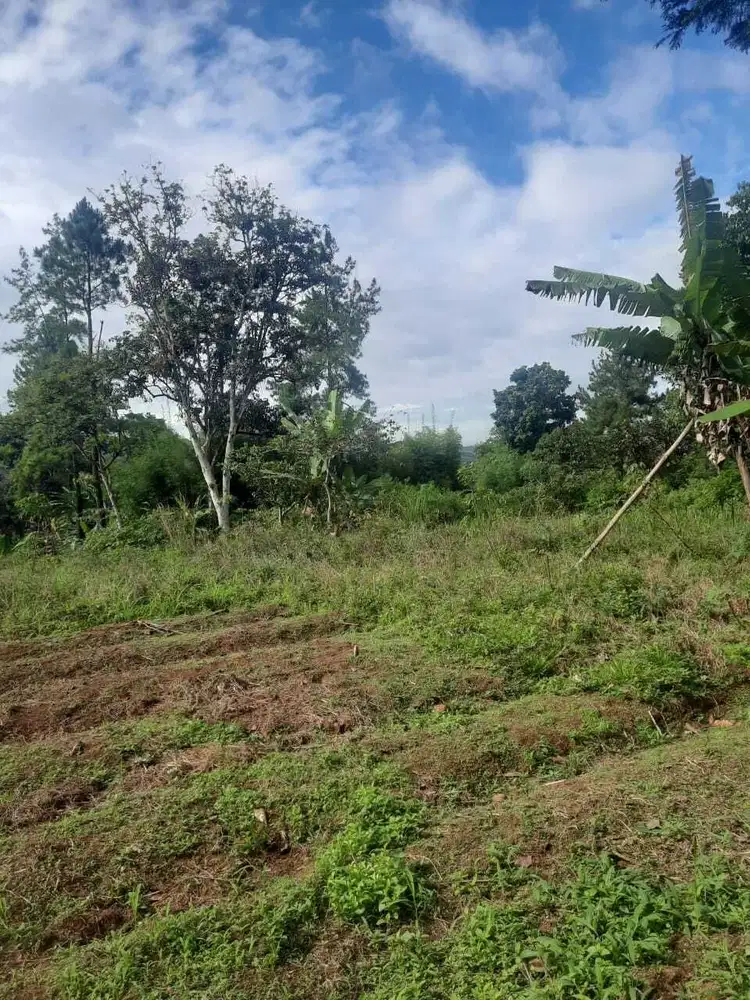 Tanah murah Pasir Angin Gunung Geulis Bogor dekat Royal Tulip Resort