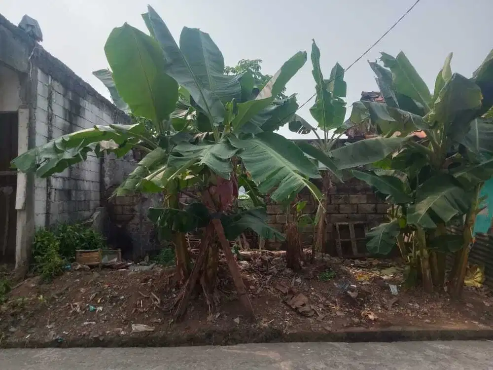 Jual Tanah Murah Kota Bogor di Bumi Kencana Permai (Emerald Cimanggu)