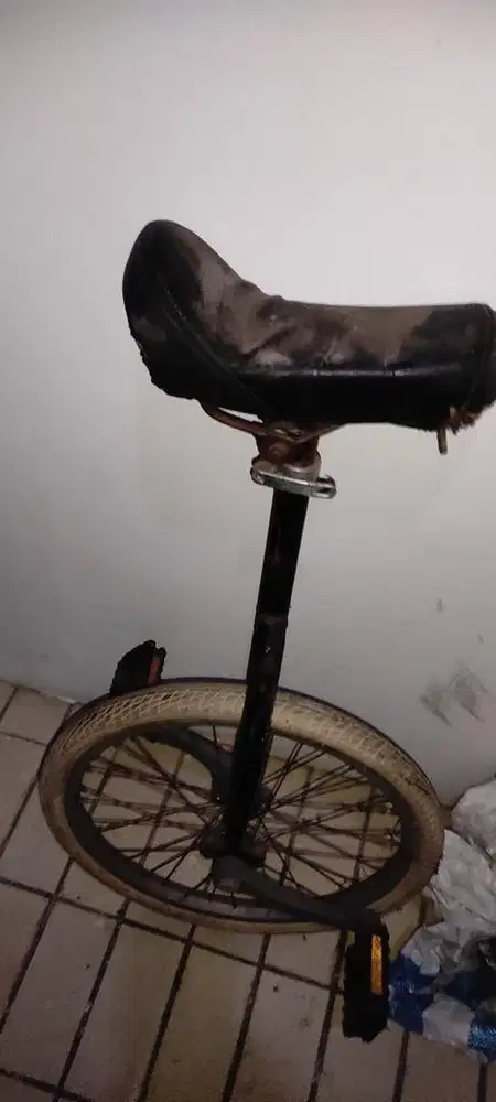 SEPEDA RODA SATU / SEPEDA BADUT / SEPEDA UNICYCLE