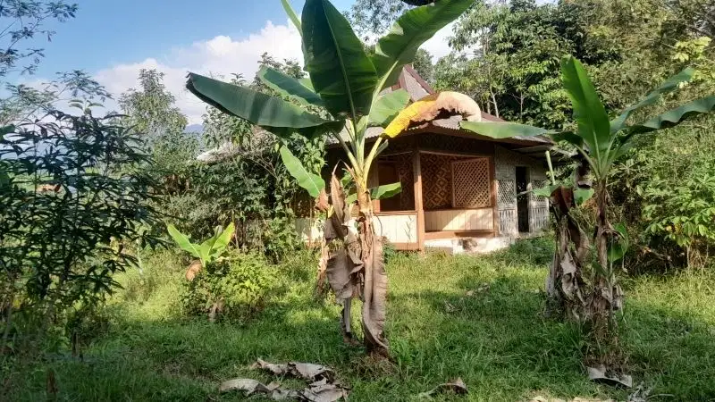 dijual lahan kebun 1600 meter