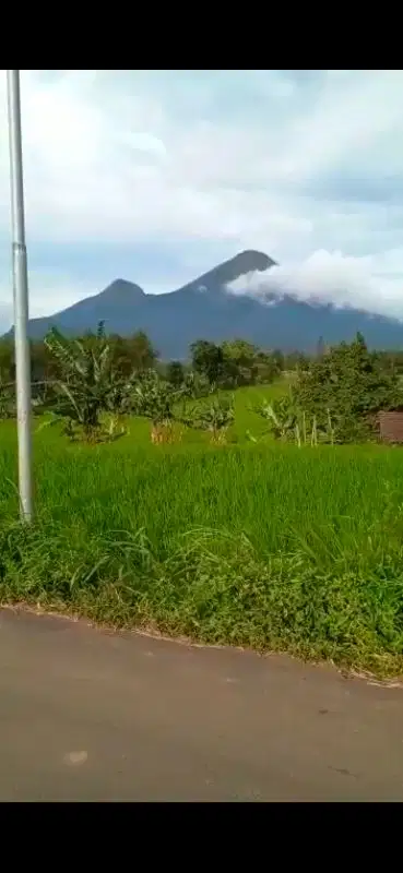 Tanah pacet luas 1.200m di nogosari pacet view bagus pol