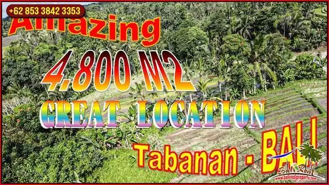 Pinggir Jalan Aspal 48 Are di Penebel dekat Kota Tabanan