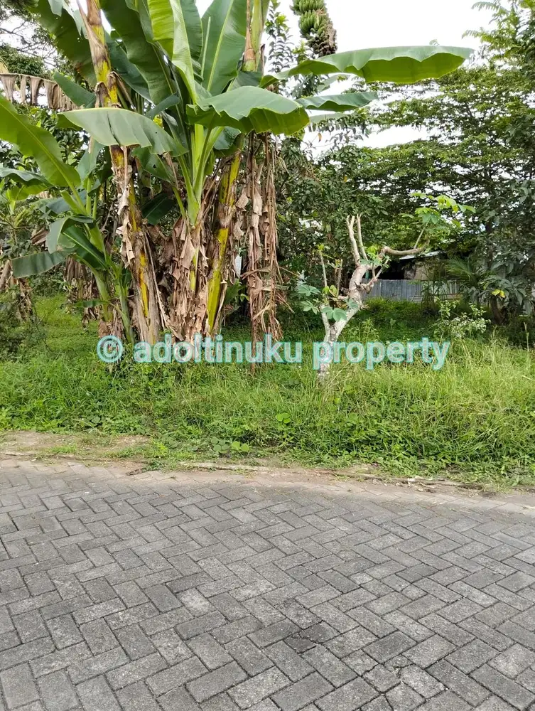 Tanah 1000 m² lebar muka 17,5 m di saragan, mertoydan, magelang