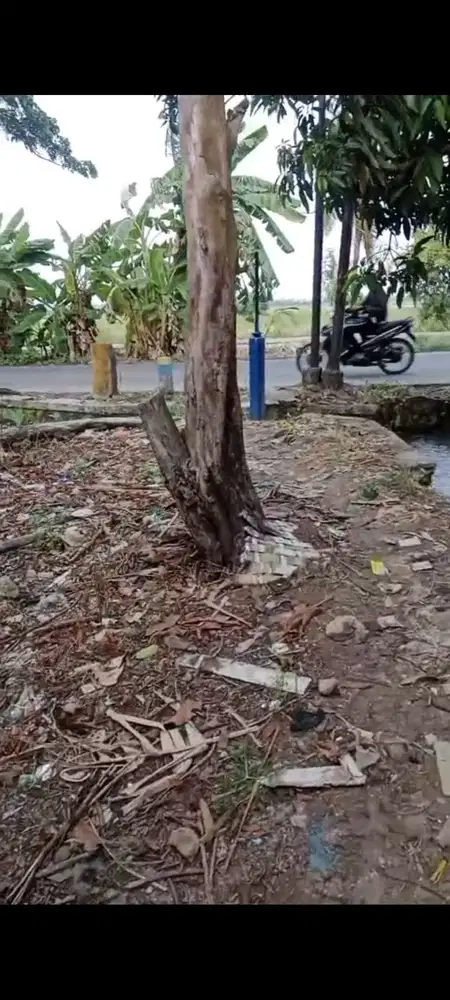 Di jual murah tanah di pinggir jalan 3900 M (BU ) area bagus