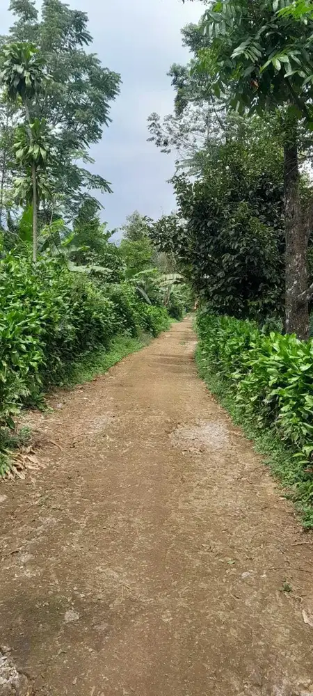 Dijual lahan 2000 meter udara dingin cocok untuk villa