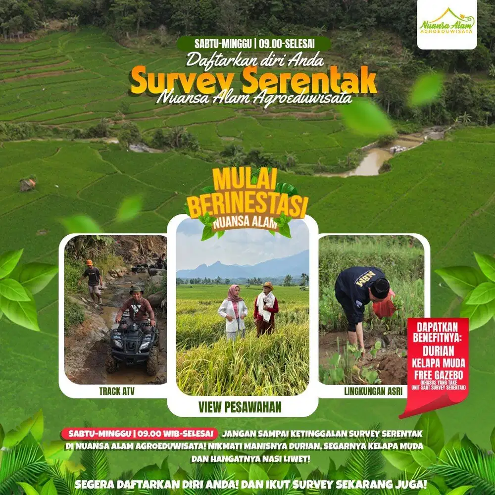 Tanah kavling sawah murah legalitas SHM View pegunungan yg estetik