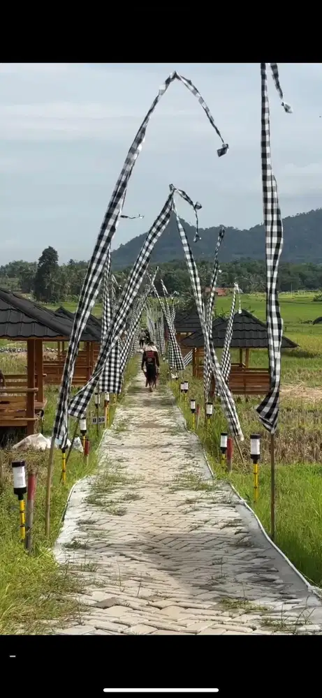 Tanah sawah murah view pegunungan bisa di bangun kavling permanen