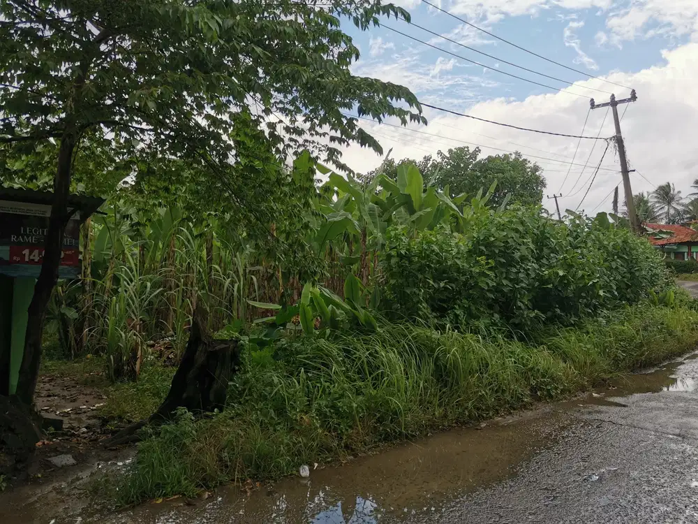 Dijual Tanah 2000 Meter di Jonggol cocok untuk Usaha (Dipinggir jalan)