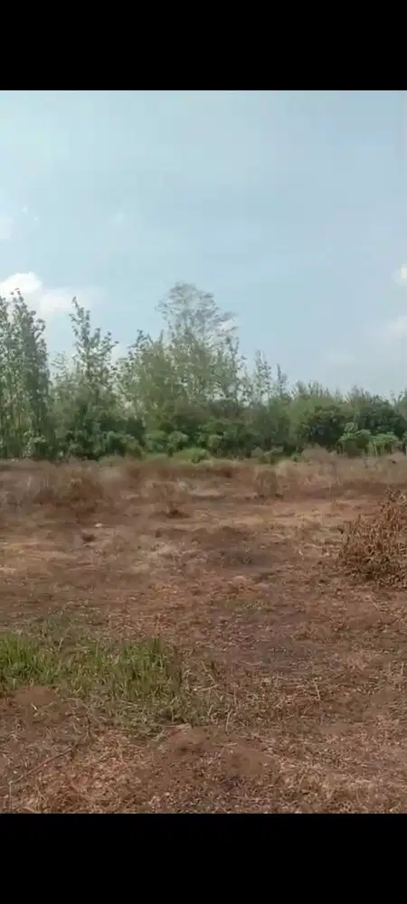 Jual tanah ciawigebang