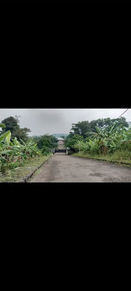 Tanah Di Bukit Hambalang 1,2Ha Cocok u Hotel, Resort, Cafe, Hambalang