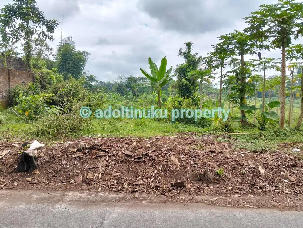 Tanah murah lebar muka 60 m, di kawasan industri, tempuran, magelang