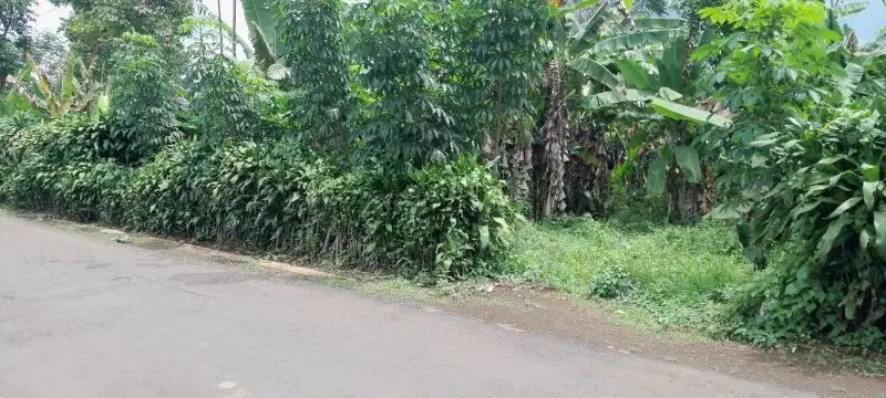 dijual lahan pinggir jalan 2000 meter cocok untuk rumah