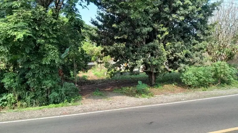 Dijual lahan pinggir jalan nasional 1190 meter