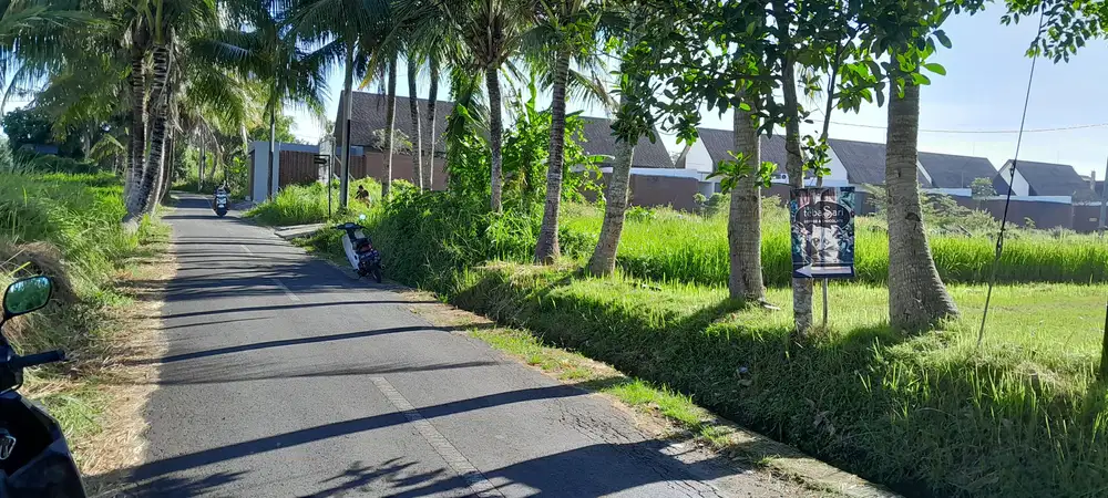 Investasi Menjanjikan Di Bali!