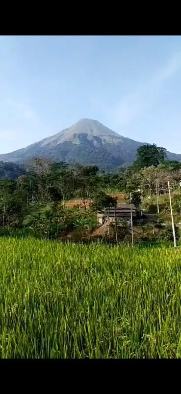 tanah view gunung ada aliran sungai nya luas 2045m