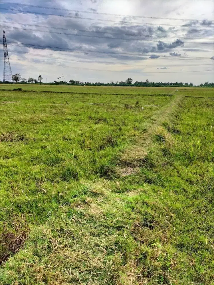 Tanah Investasi Murah Untuk Kavling ClusterAtau Investasi