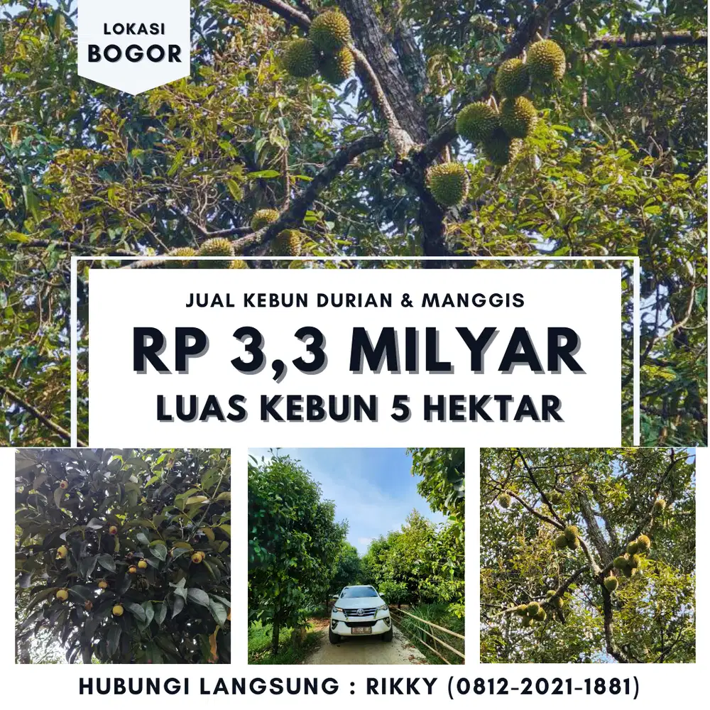 Jual Kebun Durian Sudah Berbuah Di Bogor
