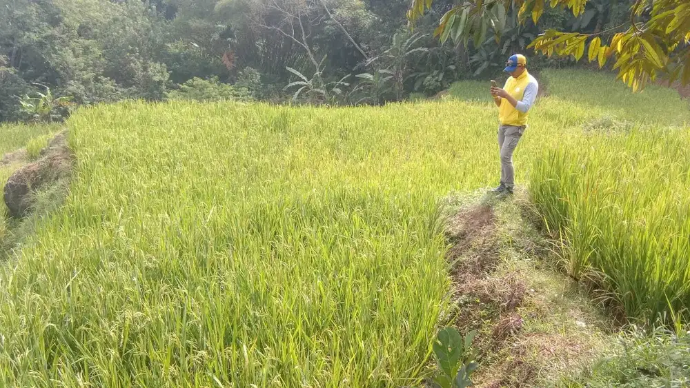 Sawah Produktif 5600 m, 3,5 km Dr Pintu Tol Darangdan, Purwakarta
