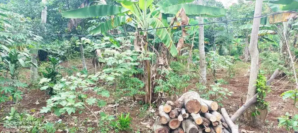 Dijual lahan kebun strategi 1100 meter²