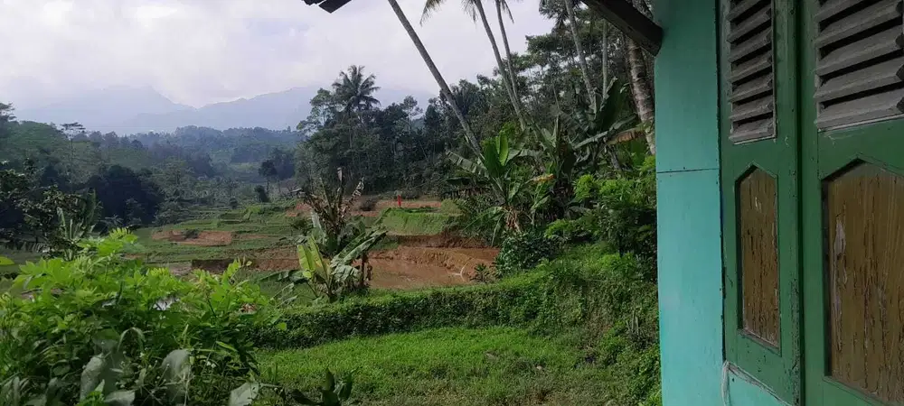 Dijual lahan sawah produktif 6800 meter