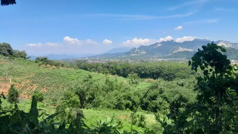 Dijual lahan pinggir jalan nasional 10Ha