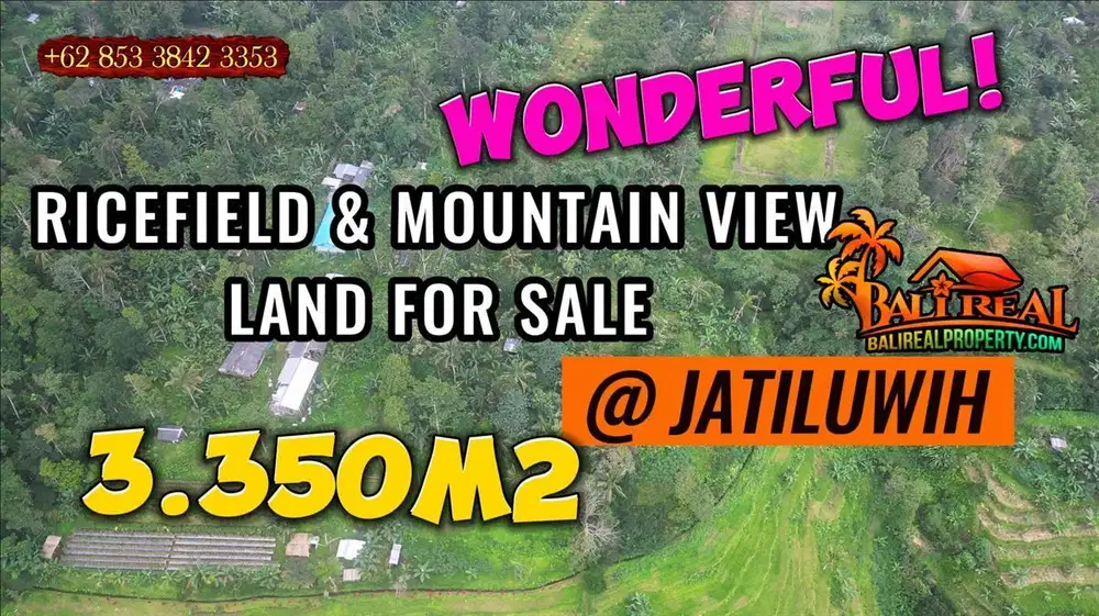 Jual Murah Tanah Kebun Akses Jalan Pribadi di Penebel