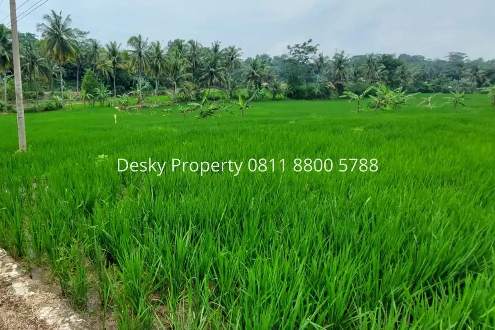 Dijual Tanah Sawah Produktif 4.622 m² Ds Selaawi,Pesawahan,Purwakarta