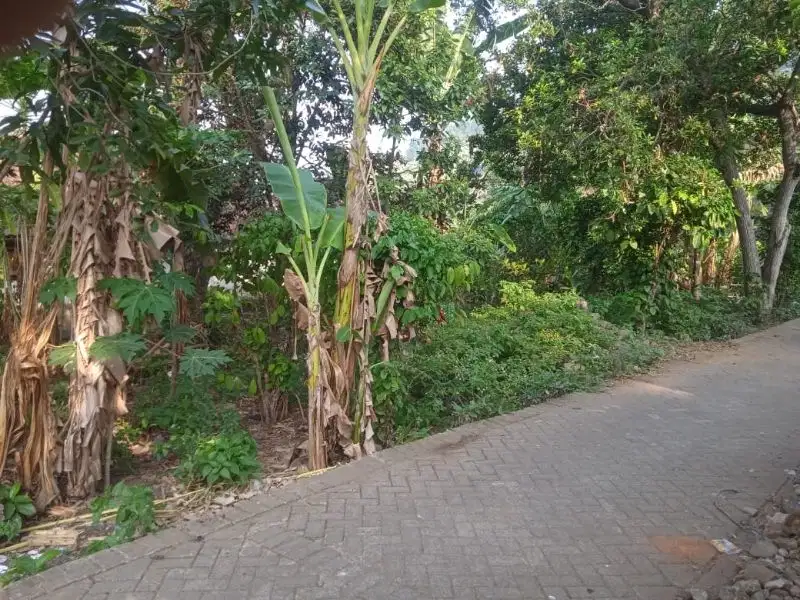 tanah pekarangan trawas kedungudi dkt jolotundo