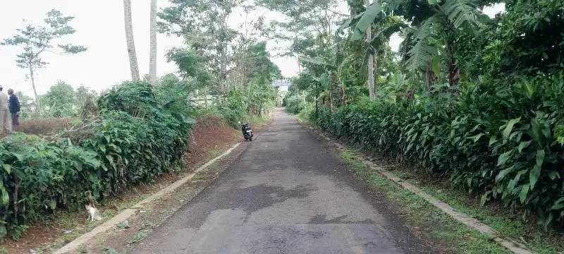 dijual lahan 3000 meter pinggir jalan