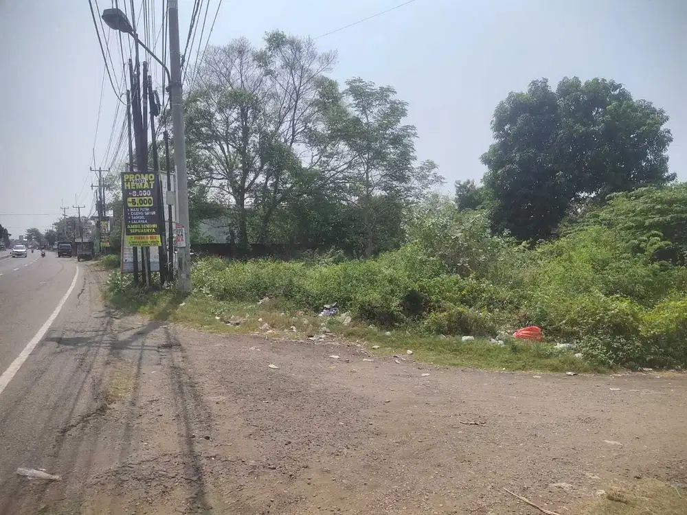 Jual lahan strategis di pinggir jalanraya pantura mundu luas 10 hektar